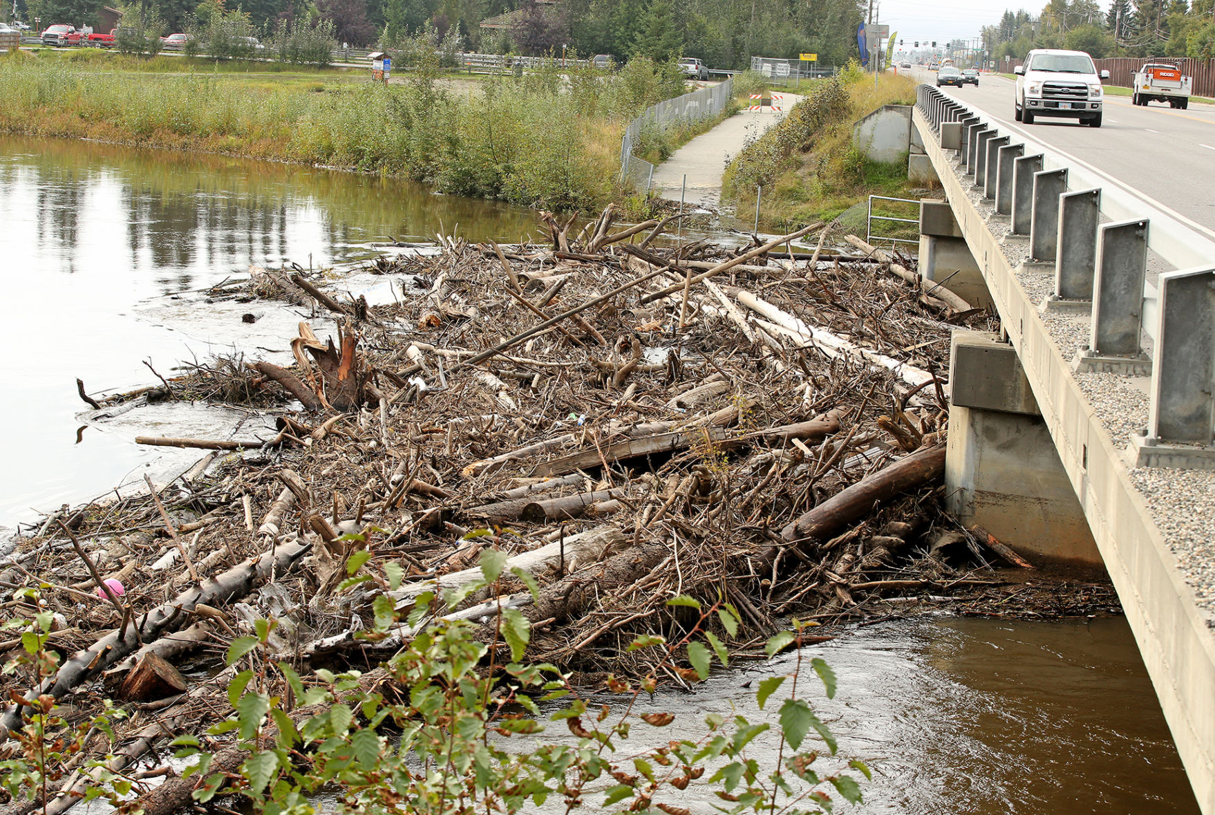 Peger Road Log Jam
